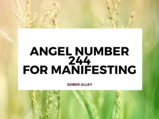 244 angel number manifestation