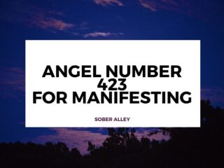 Unlock the Secret Meaning Behind Angel Number 423 (Dream Life Manifestation)