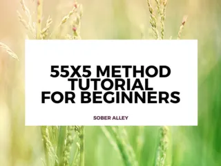 555 method tutorial beginners