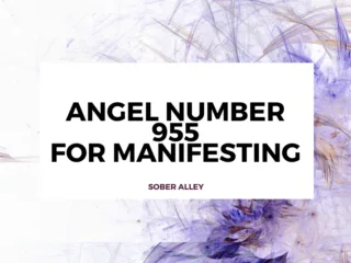 955 angel number