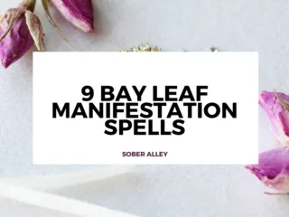 bay leaf manifestation spells header image