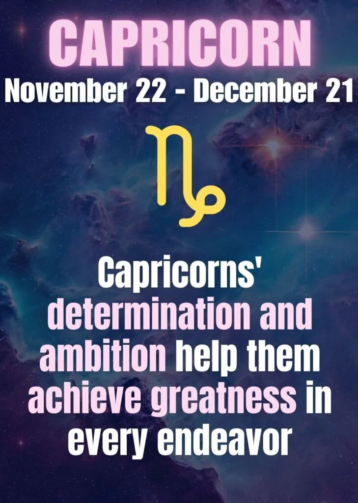 capricorn zodiac sign as things