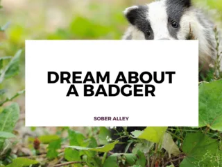 dream about a badger
