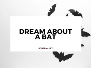 dream about a bat