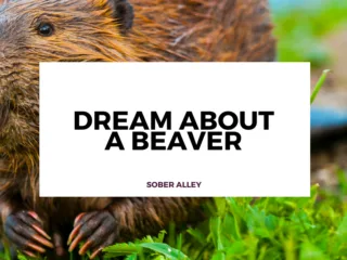 dream about a beaver