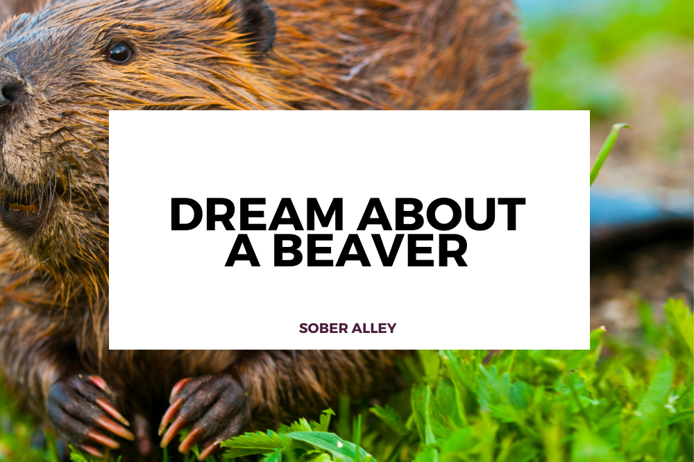 dream-about-a-beaver-symbolism-and-meaning