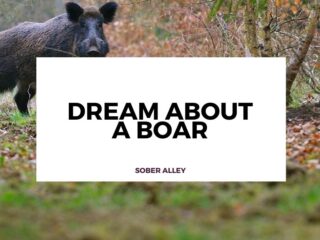 dream about a boar