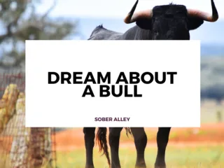 dream about a bull