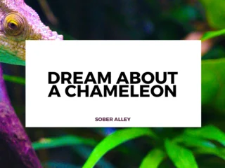 dream about a chameleon