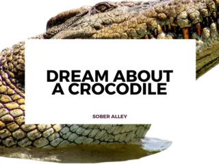 dream about a crocodile