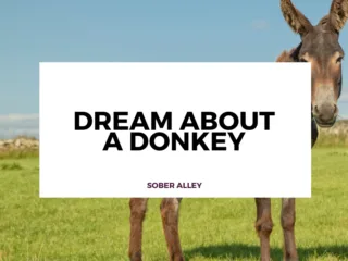 dream about a donkey