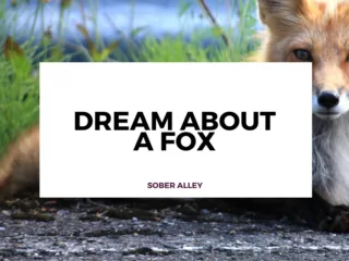 dream about a fox