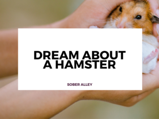dream about a hamster