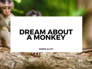 dream about a monkey