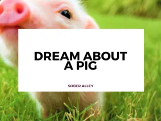 dream about a pig