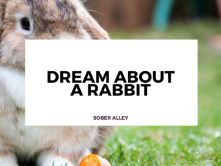 dream about a rabbit