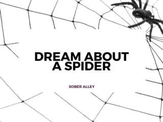 dream about a spider