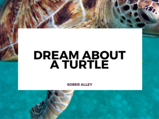 dream about a turtle