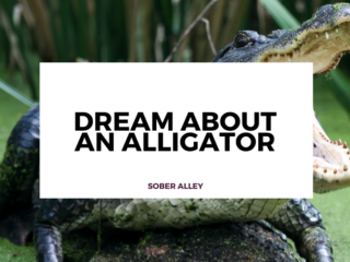 dream about an alligator
