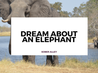 dream about an elephant