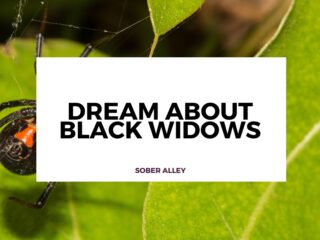 dream about black widow spiders