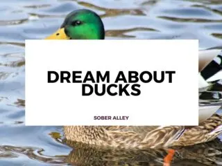dream about ducks