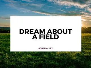 dream about fields or a field