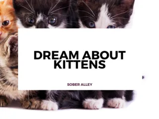 dream about kittens