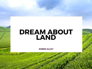 dream about land