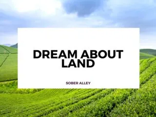 dream about land