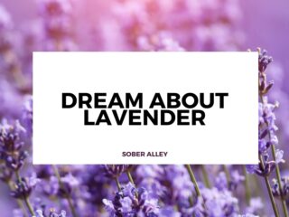 dream about lavender