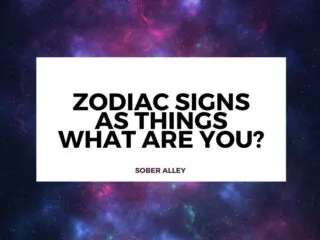 zodiac signs as things astrojpg